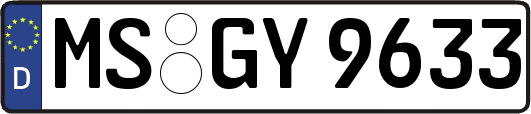 MS-GY9633