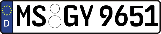 MS-GY9651