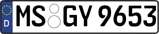 MS-GY9653