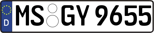 MS-GY9655
