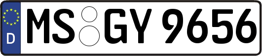MS-GY9656