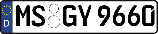 MS-GY9660