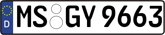 MS-GY9663