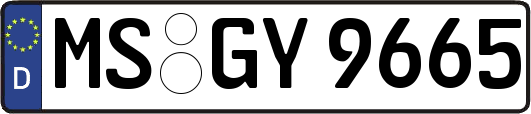 MS-GY9665