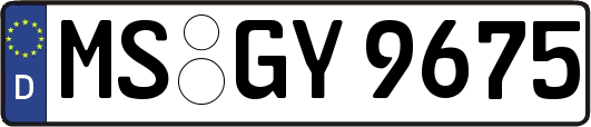 MS-GY9675