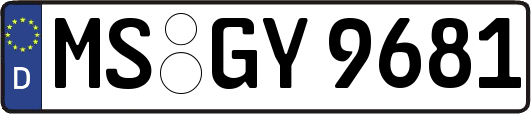 MS-GY9681
