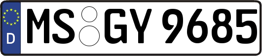 MS-GY9685
