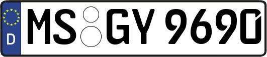 MS-GY9690