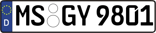 MS-GY9801