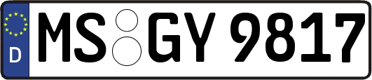 MS-GY9817