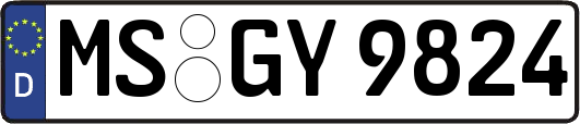 MS-GY9824