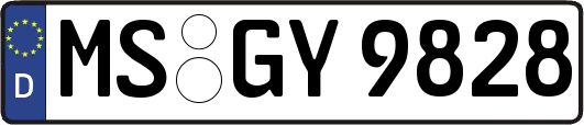 MS-GY9828