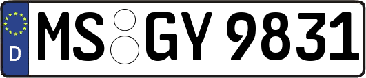 MS-GY9831