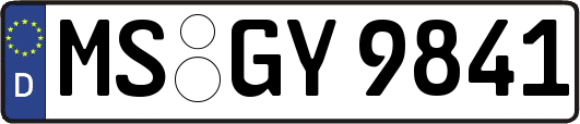 MS-GY9841