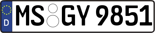 MS-GY9851