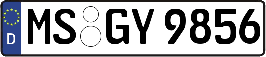 MS-GY9856