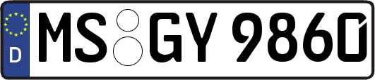 MS-GY9860