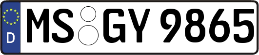 MS-GY9865