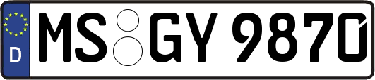 MS-GY9870
