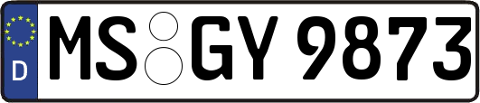 MS-GY9873