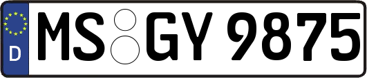 MS-GY9875
