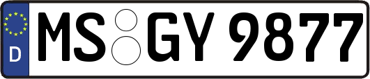 MS-GY9877