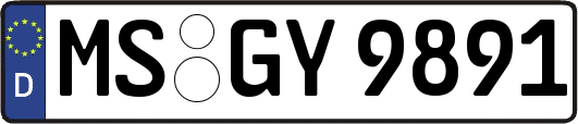 MS-GY9891