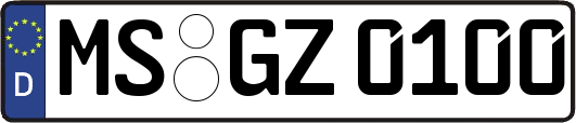MS-GZ0100