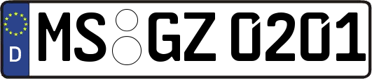 MS-GZ0201