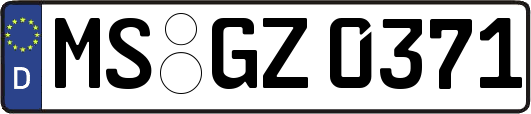 MS-GZ0371