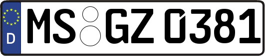 MS-GZ0381