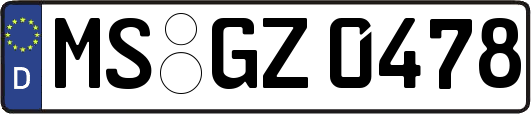 MS-GZ0478