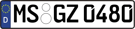 MS-GZ0480