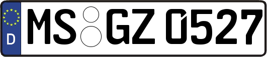MS-GZ0527