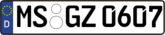 MS-GZ0607