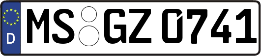MS-GZ0741