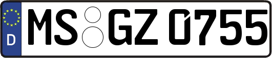 MS-GZ0755