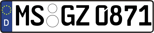 MS-GZ0871