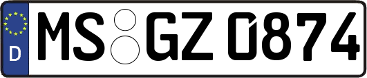 MS-GZ0874