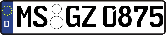 MS-GZ0875