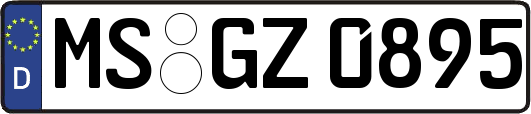 MS-GZ0895