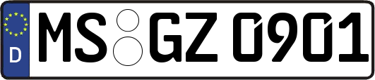 MS-GZ0901