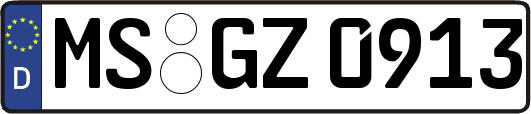 MS-GZ0913