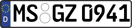 MS-GZ0941