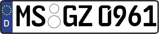 MS-GZ0961