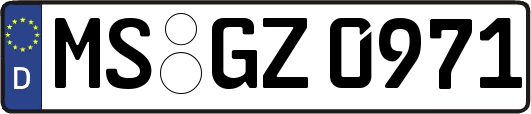 MS-GZ0971