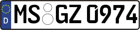 MS-GZ0974