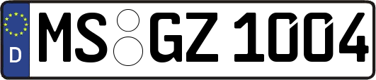MS-GZ1004