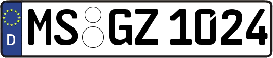 MS-GZ1024