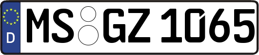 MS-GZ1065